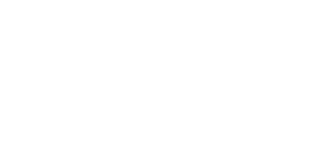 Norad Logo